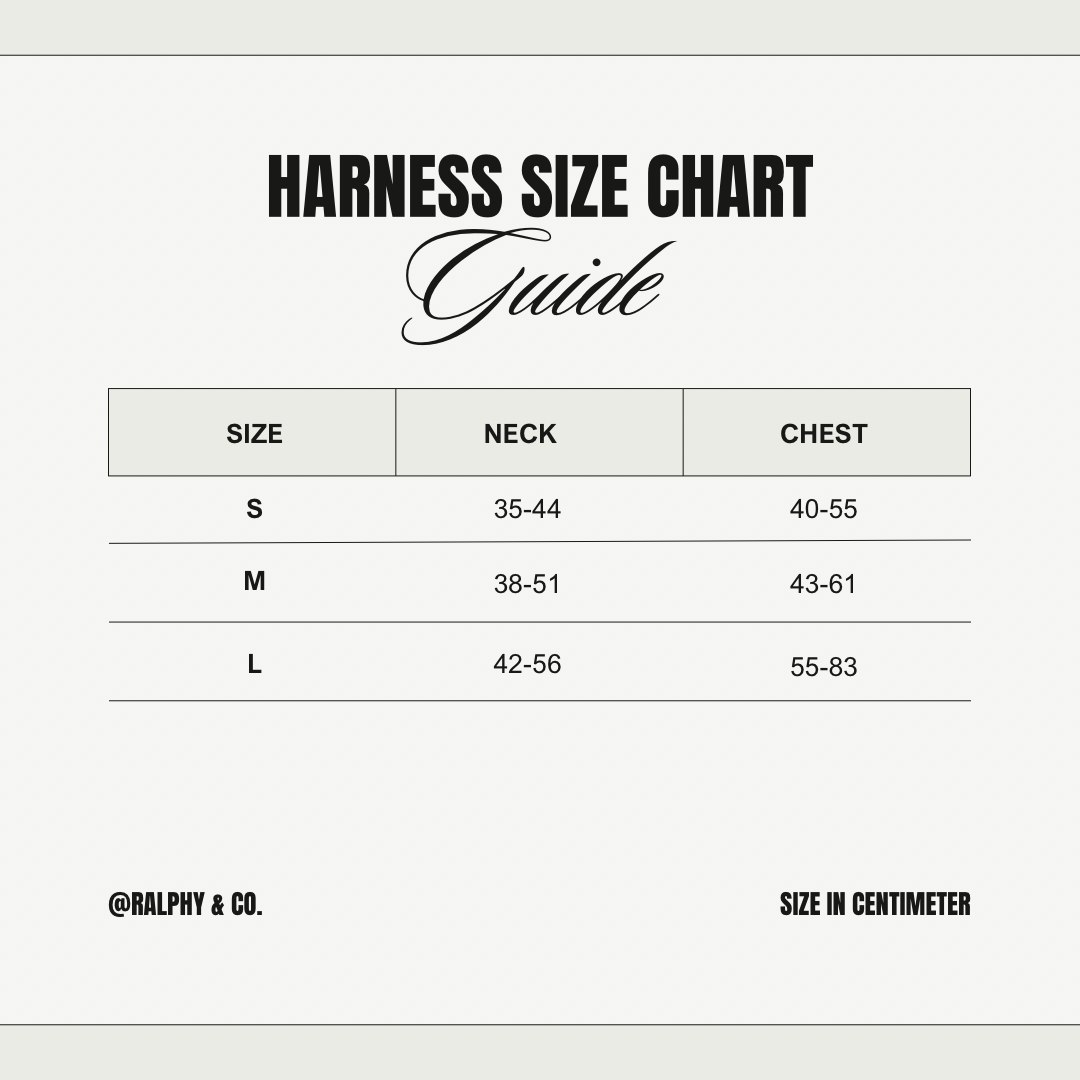 Teddy Dreams Harness & Lead Set