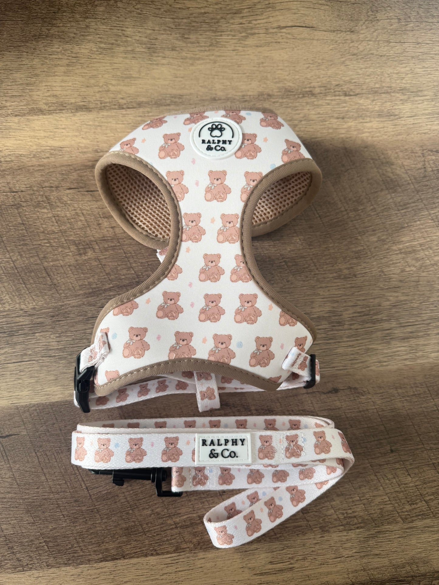 Teddy Dreams Harness & Lead Set