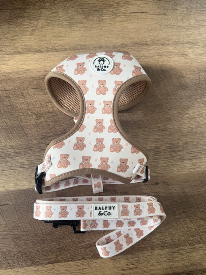 Teddy Dreams Harness & Lead Set