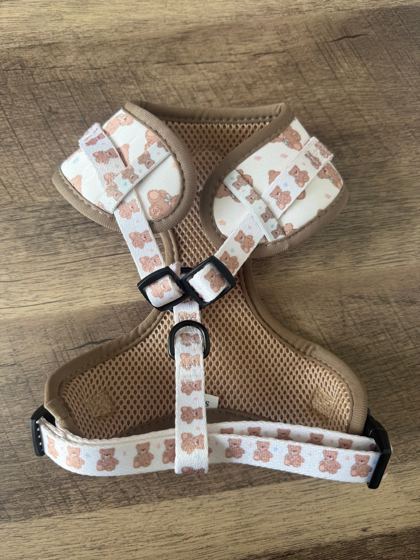 Teddy Dreams Harness & Lead Set