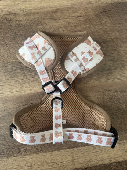 Teddy Dreams Harness & Lead Set