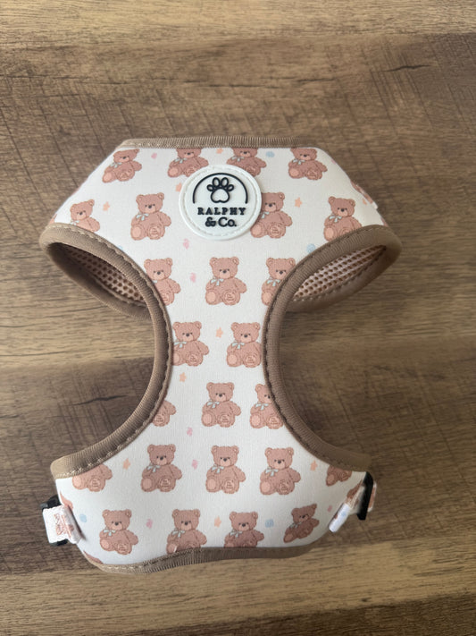 Teddy Dreams Harness & Lead Set
