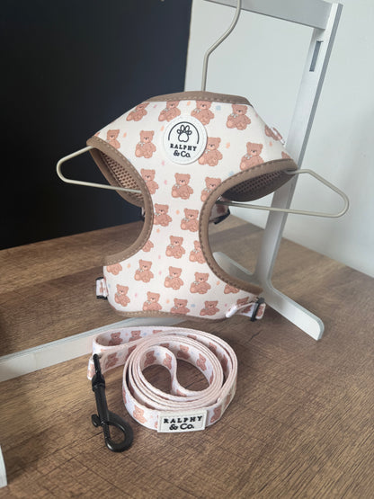 Teddy Dreams Harness & Lead Set