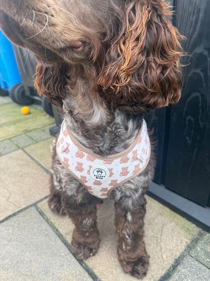 Adjustable Dog Harness- Teddy Dreams