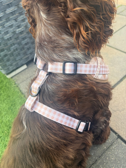 Adjustable Dog Harness- Rustic Check
