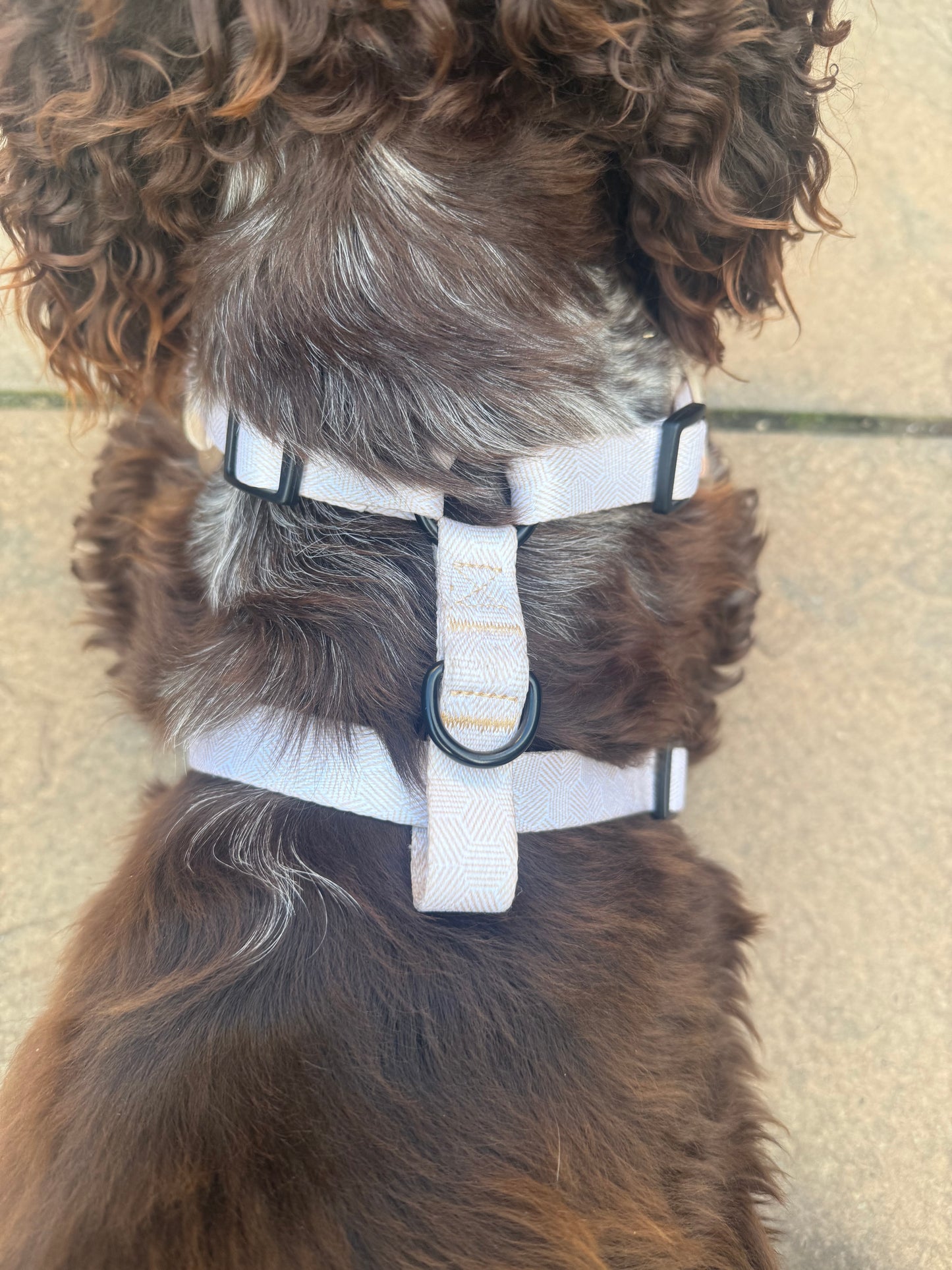 Adjustable Dog Harness- Desert Geo