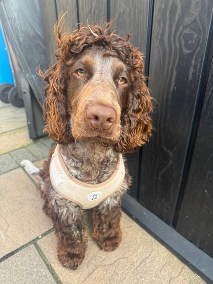 Adjustable Dog Harness- Desert Geo