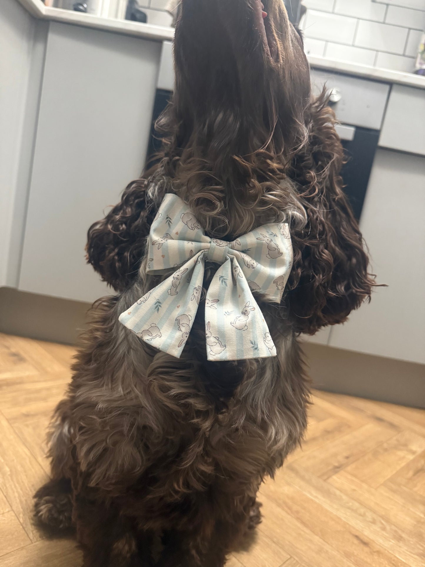 Blue Bunny Bow