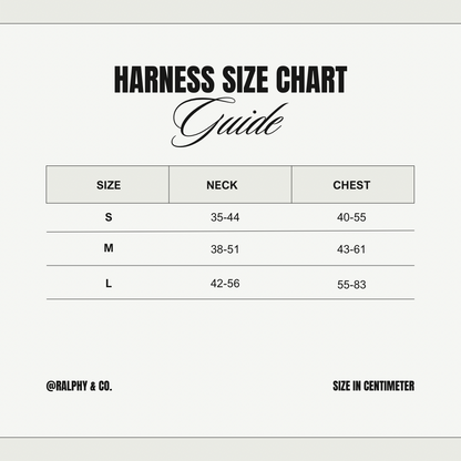 Teddy Dreams Harness & Lead Set