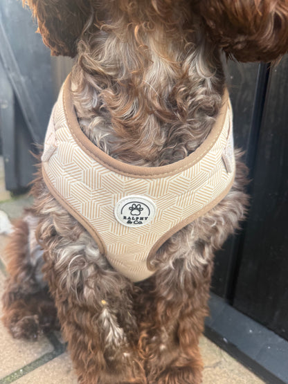 Adjustable Dog Harness- Desert Geo