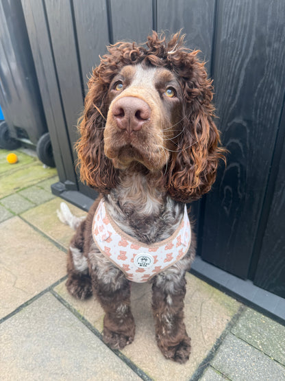 Adjustable Dog Harness- Teddy Dreams