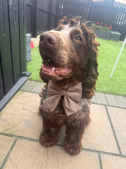 Stripy Brown Bow
