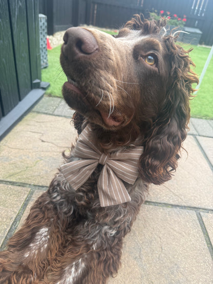 Stripy Brown Bow